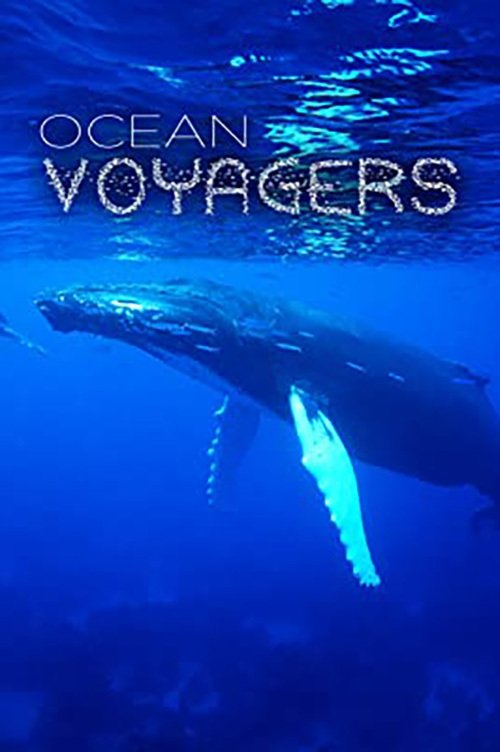 Постер Ocean Voyagers